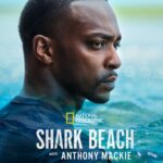 Shark Beach with Anthony Mackie (2024) sharck-beach